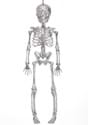 Glitter Skeleton silver  Alt 2