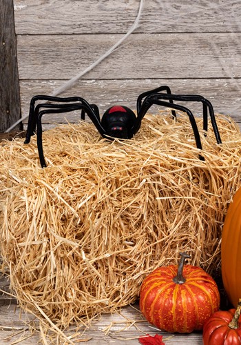 20-Inch Black Widow Spider Decoration | Spider Decorations