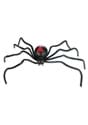 Spider black widow Alt 2