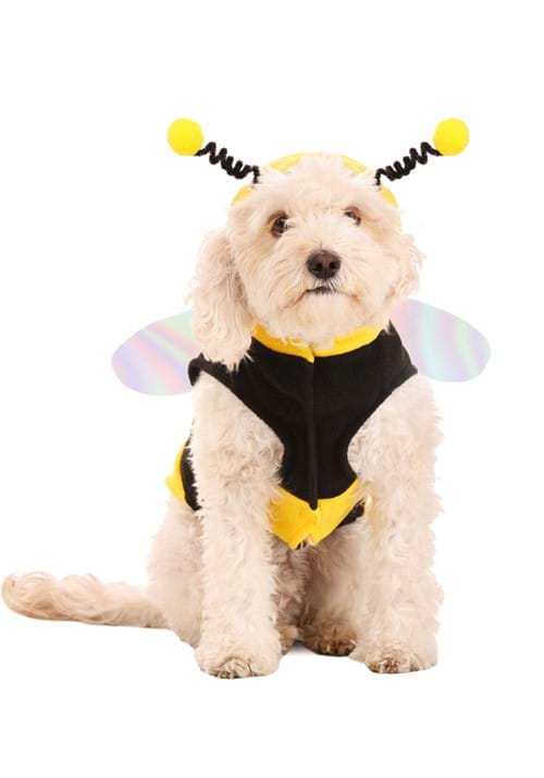 Lil Bumble Bee Pet Costume