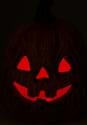 Pumpkin w/red light shining Alt 1