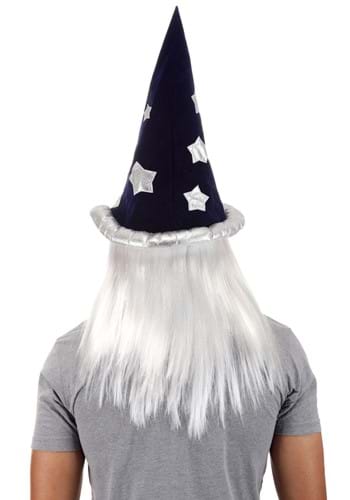 Merlin Wig and Beard Costume Accessory Kit