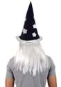 Merlin Wig and Beard Costume Kit Alt 1