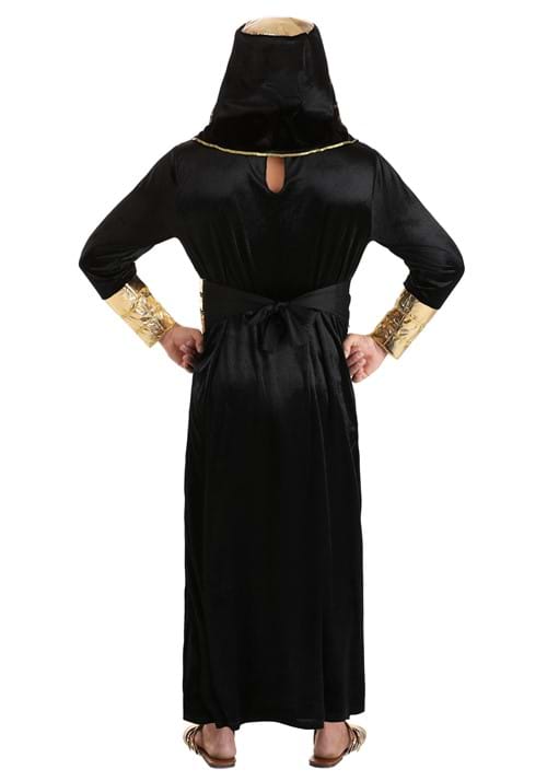 Pharaoh Costume Adult Egyptian God main image 0