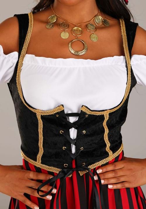 Elegant Pirate Maiden Costume main image 1