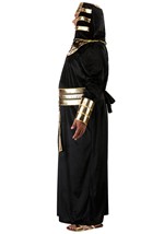 Plus Size Deluxe Pharaoh Robe Costume for Adults Alt 3