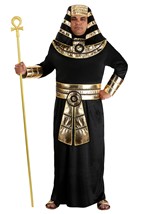 Plus Size Deluxe Pharaoh Robe Costume for Adults Alt 2