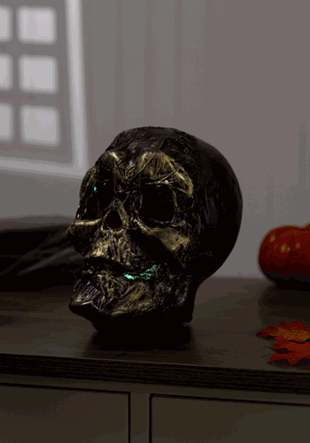 Skull with Color Changing LED Lights new