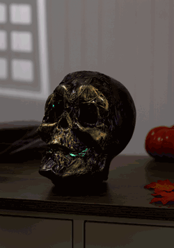 Skull with Color Changing LED Lights