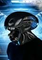 Adult Xenomorph Alien Mask