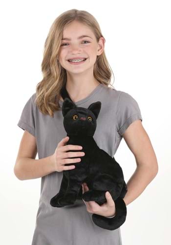 Black Cat Costume Companion Upd
