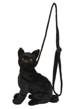 Black Cat Costume Companion Alt 1