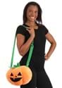 Pumpkin Costume Companion Alt 1