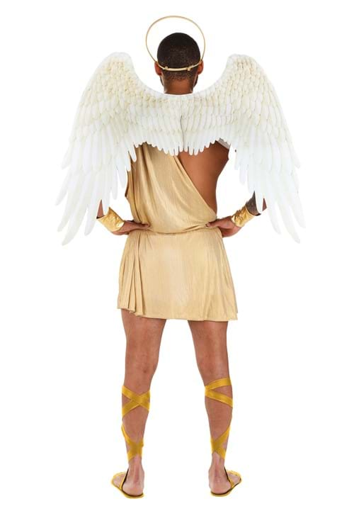 Plus Size Sexy Angel Men's Costume | Sexy Angel Costumes