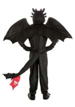 Adult How to Train Your Dragon Toothless Costume Alt 1