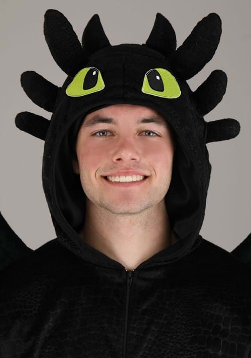 How to Train Your Dragon Adult Toothless Costume Movie Costumes