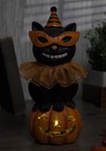 8" Black Cat W/ Party Hat On LED Pumpkin Alt 2