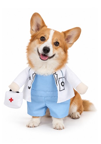 Doctor Pet Costume