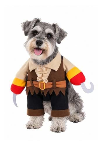 Pirate Pet Costume upd