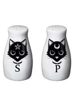 Black Cats Salt and Pepper Shaker Set Alt 1
