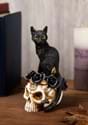 7" Black Cat on Skull
