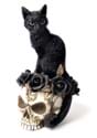 7" Black Cat on Skull Alt 1