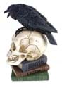 8 Inch Poe's Raven Skull Decoration Alt 3