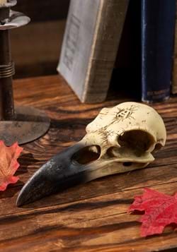 6 Inch Corvus Alchemia Skull