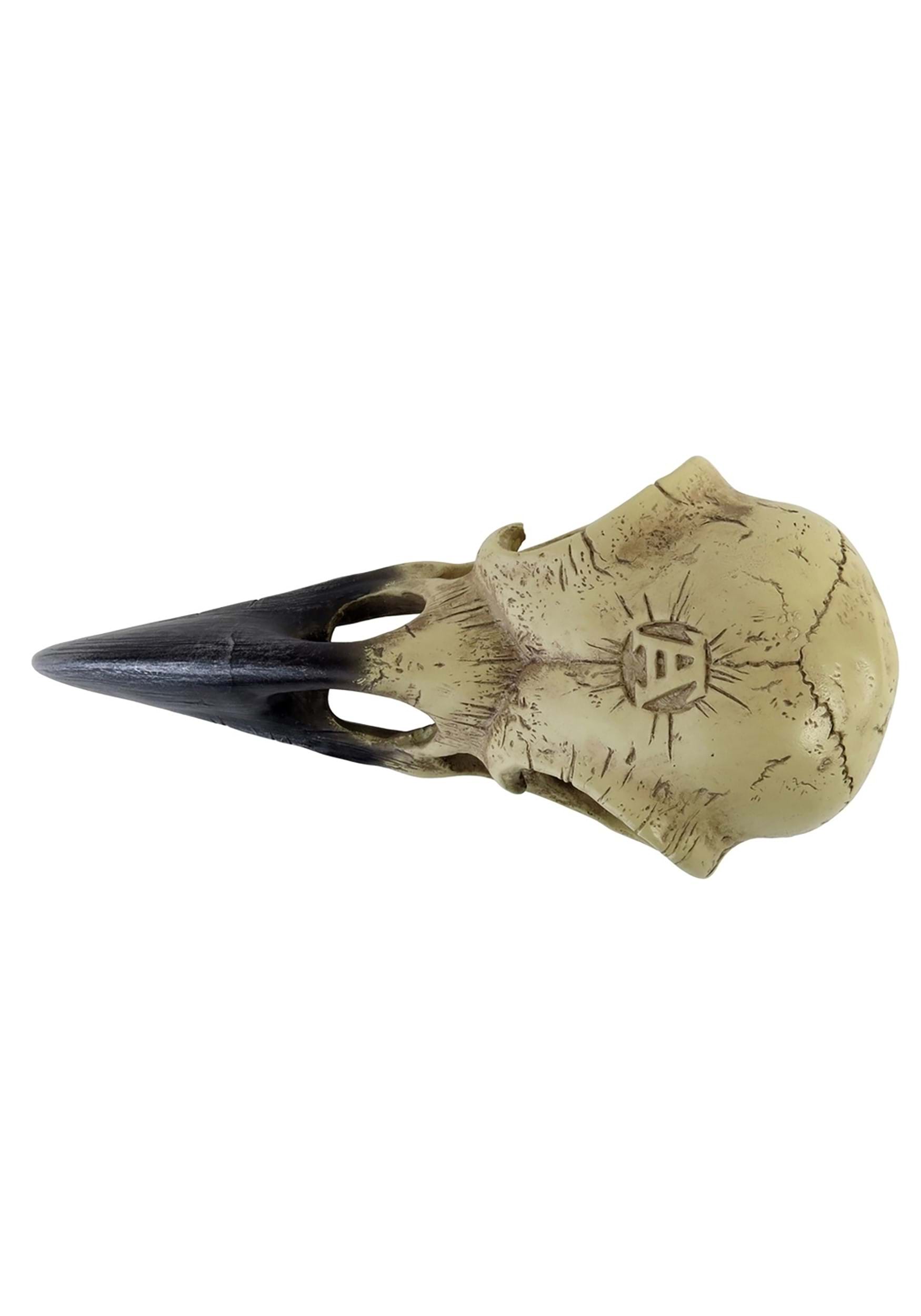 6-Inch Corvus Alchemica Skull Prop