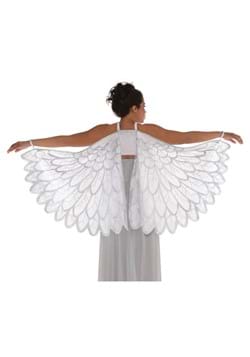 Angel Fantasy Wings