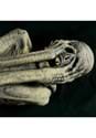 Ancient Mummy Prop Alt 2