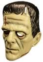 Universal Studios Frankenstein Vacuform Mask Alt 1