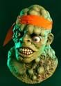 Toxic Crusader Mask Alt 1