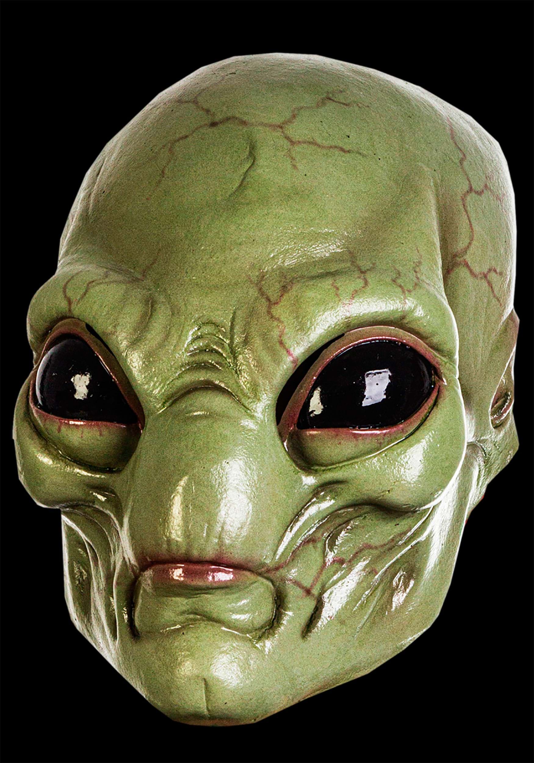 Máscara de visitante verde para adultos Multicolor