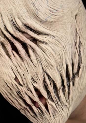 The Pale One Adult Mask