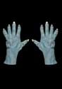 Adult Vampire Claw Gloves