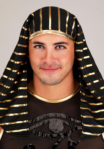 Sexy Men's Pharaoh Costume | Adult Egyptian Costumes