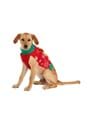 Christmas Present Dog Sweater Alt 7