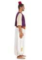 Plus Size Disney Aladdin Costume Alt 3