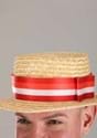 Mary Poppins Bert Straw Hat Alt 2