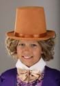 Boys Willy Wonka Costume Alt 2