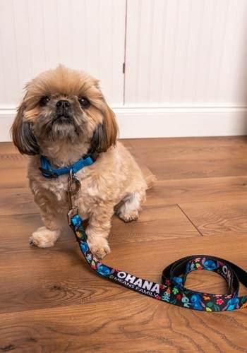 Ohana Means Family Stitch and Scrump Poses Dog Leash