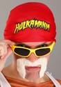 WWE Hulk Hogan Costume Kit Alt 2