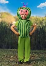 Cocomelon Infant/Toddler Melon Costume