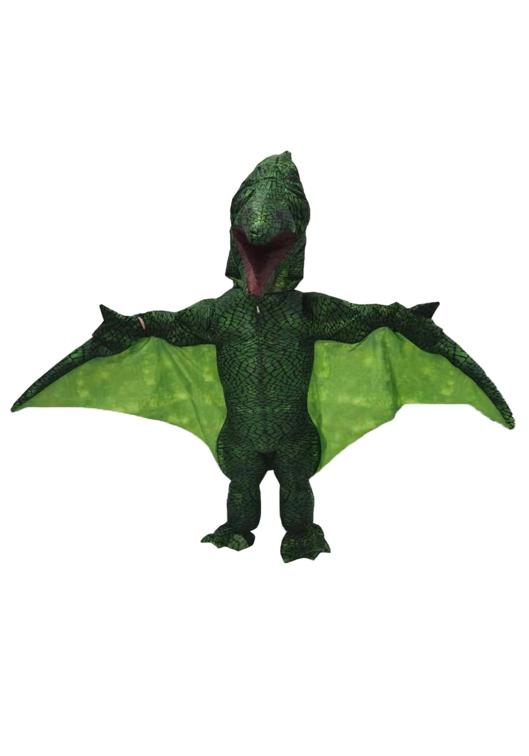 Child Pterodactyl Costume