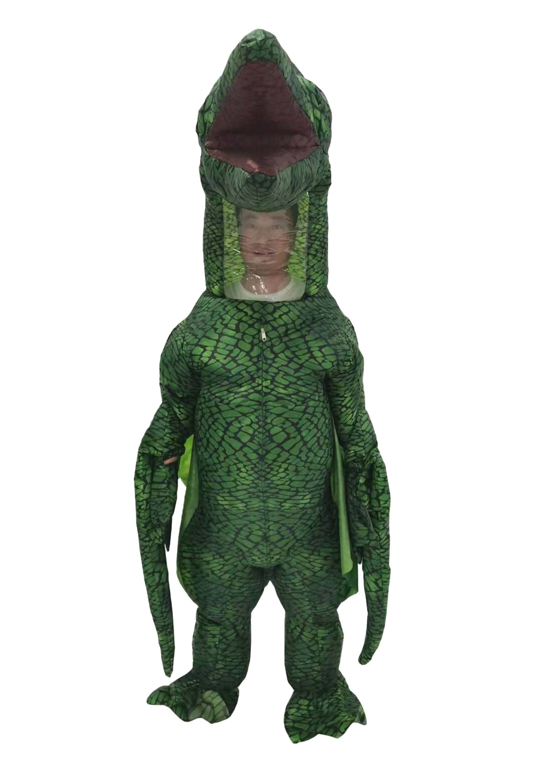 Inflatable Dinosaur Pterodactyl Adult Costume