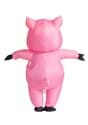 Adult Inflatable Piggy Costume Alt 1