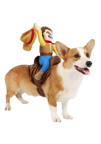 Cowboy Rider Pet Costume