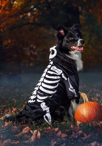 Skeleton Costume For Dogs And Cats