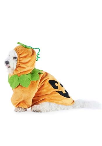 Pumpkin Dog Costume